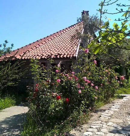 Caretta فيلة *