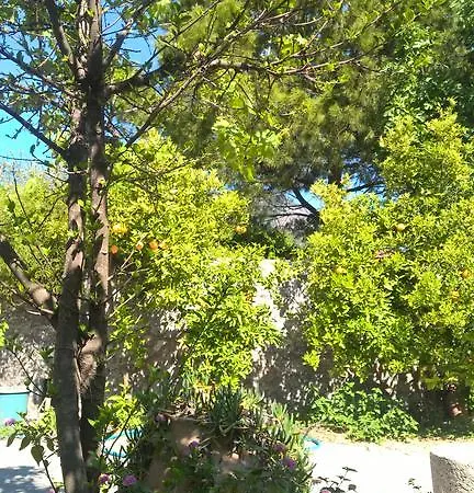 Caretta * داليان